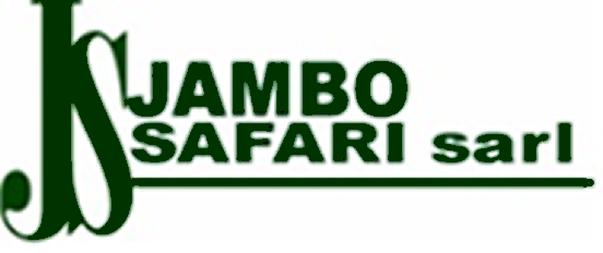 Jambo Safari sarl